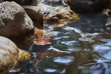 Hot springs