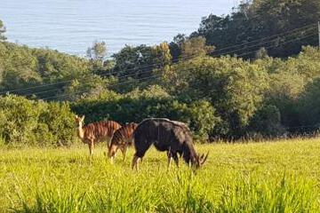 Surrounding environment