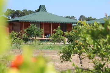 Photo 89