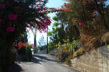 Photo 51