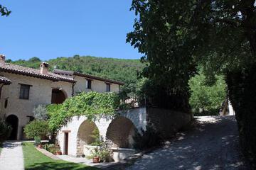 Photo 29