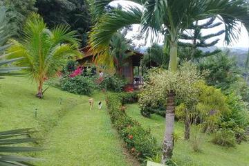 Photo 32
