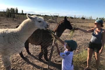 Children's activities