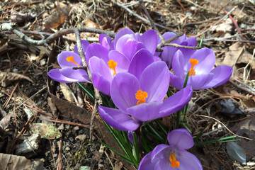 Hotel Exterior 61 of 63