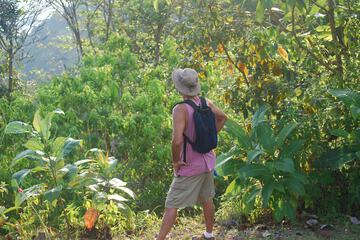 Hiking