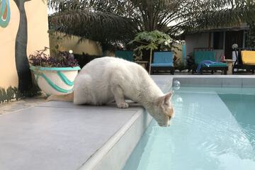 Children's pool
