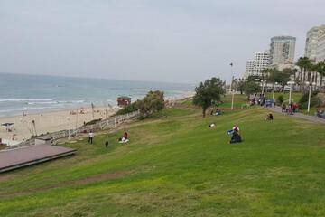 Photo 45