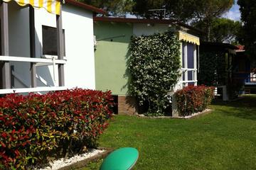 Photo 61