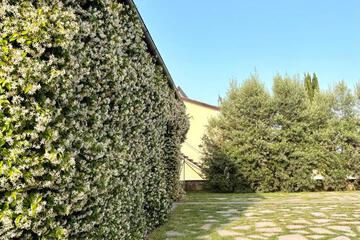 Photo 45