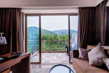 Mountain view