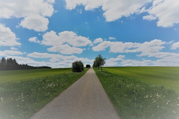 Land view from property