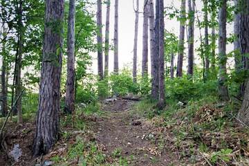 Hiking
