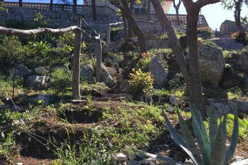 Photo 43