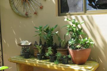 Photo 34