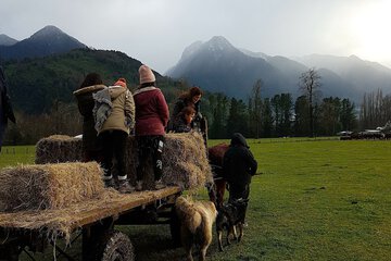Ecotours