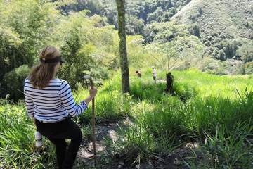 Hiking