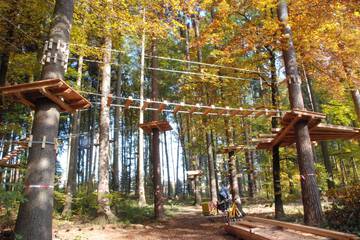 Ropes course (team building)