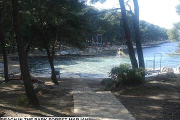 Photo 49