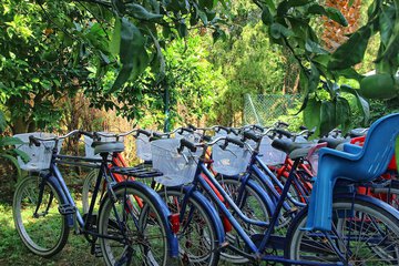 Bicycling