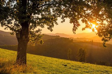 Land view from property