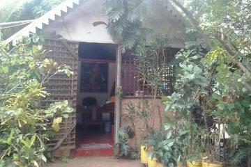 Photo 24