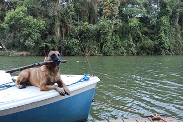 Boating