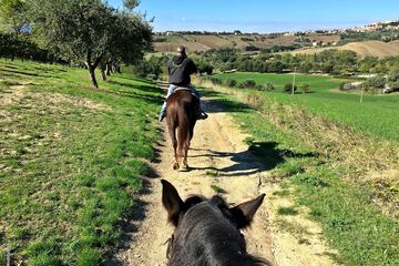 Horseback riding