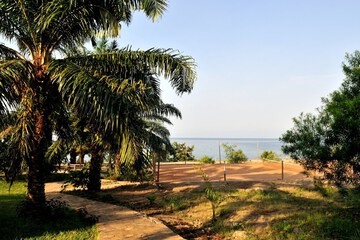 Tennis court