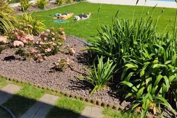 Photo 38