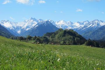 Photo 22