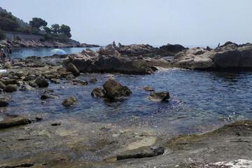 Photo 41