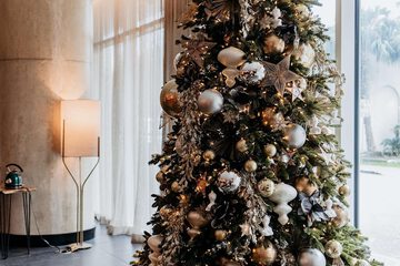 Hotel Interior 18 of 81