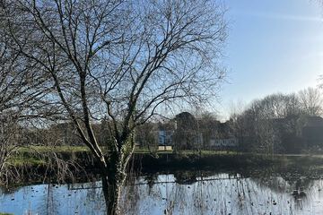 Land view from property