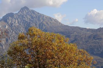 Mountain view
