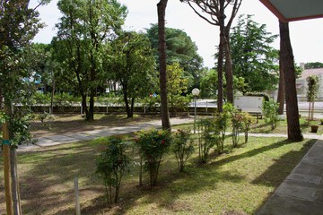 Garden view