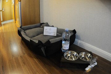 Pet-friendly amenities