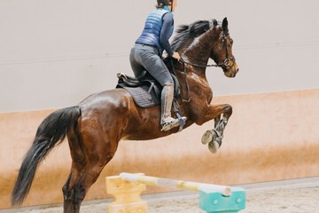 Horseback riding