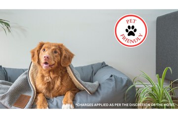 Pet-friendly