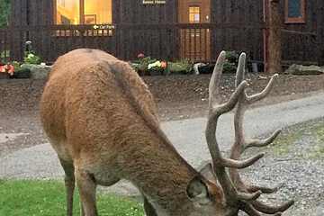 Photo 40