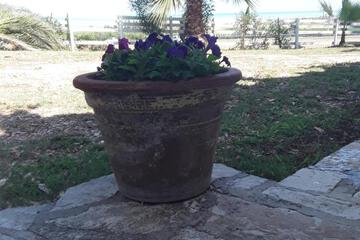 Photo 36