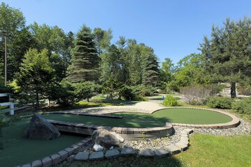 Mini-golf