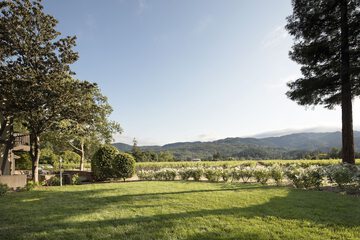 Outdoor banquet area