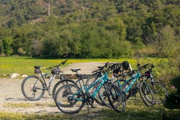 Bicycling