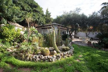 Photo 49