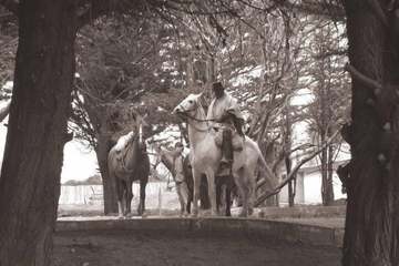 Horseback riding