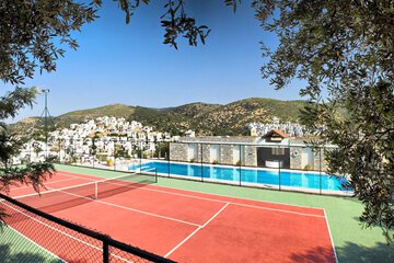 Tennis court