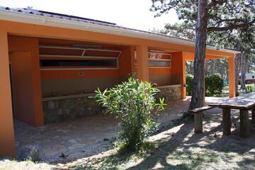 Photo 51