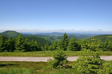 Hiking