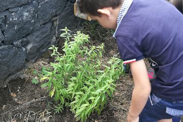 Children's activities