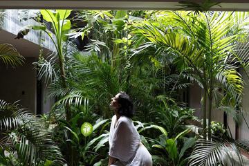 Garden view